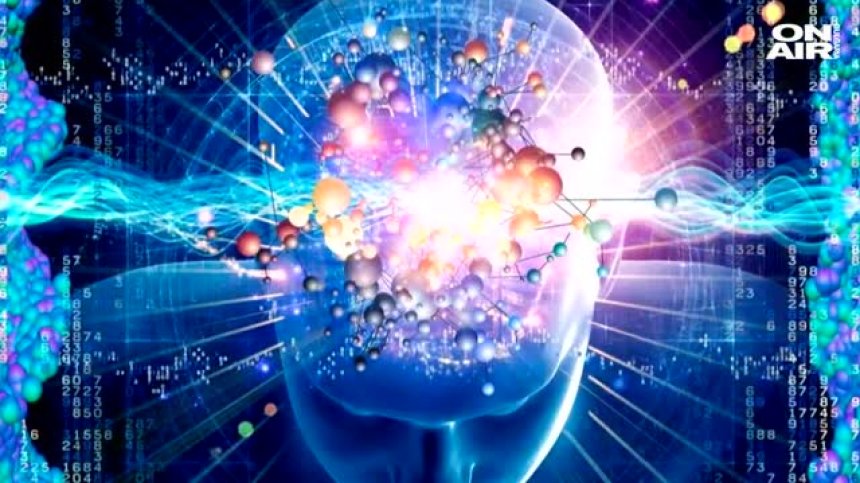 Интелигентен човек ли е българинът? Чуйте мнението на експертите