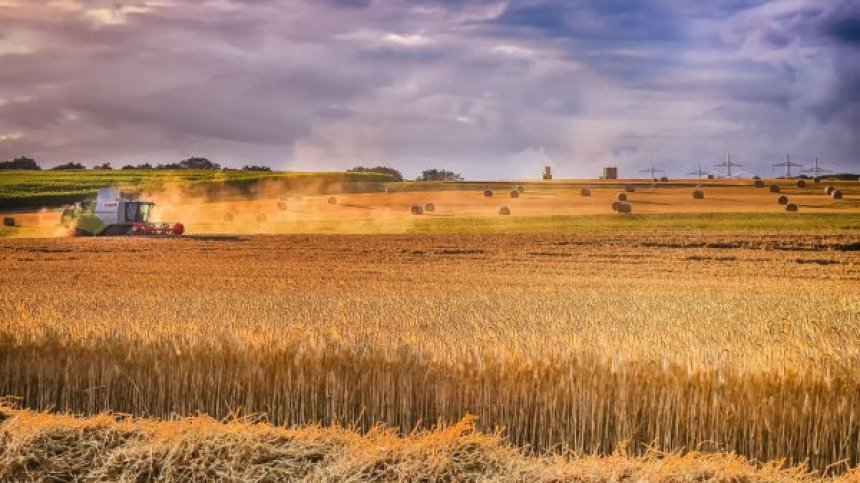 Има ли потенциал за развитие българското селско стопанство?