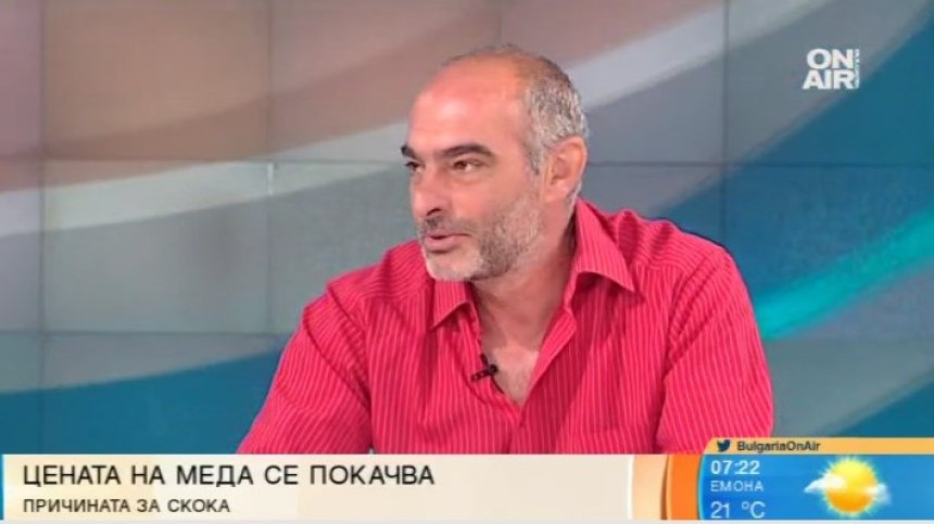 Цената на меда скача: Какви са причините за това и какво ни очаква, ако пчелите изчезнат?