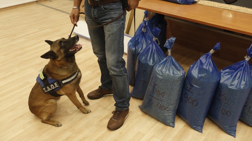 Гръцките власти заловиха 320 кг кокаин, скрит в контейнери за скариди