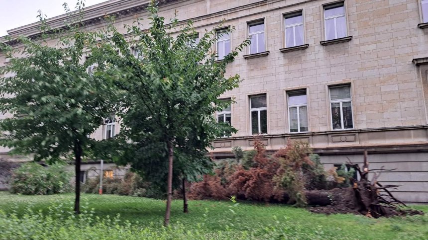 Мощната буря в София остави квартали без ток, наводнени са подлези и улици