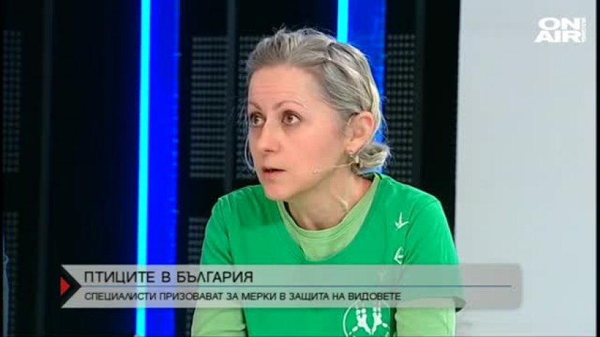 Птиците, които изчезнаха