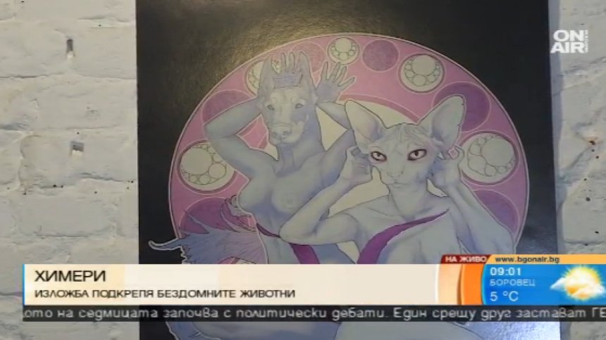 Благотворителна изложба помага на бездомни животни