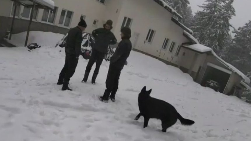 Случаят "Петрохан" не е приключен, много въпроси търсят своите отговори