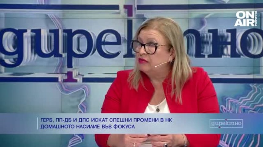 Председателят на НБПП: Завишаването на наказанията за насилие не означава напредък