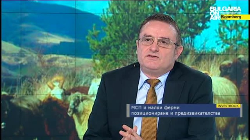 МСП и малки ферми - роля в икономиката