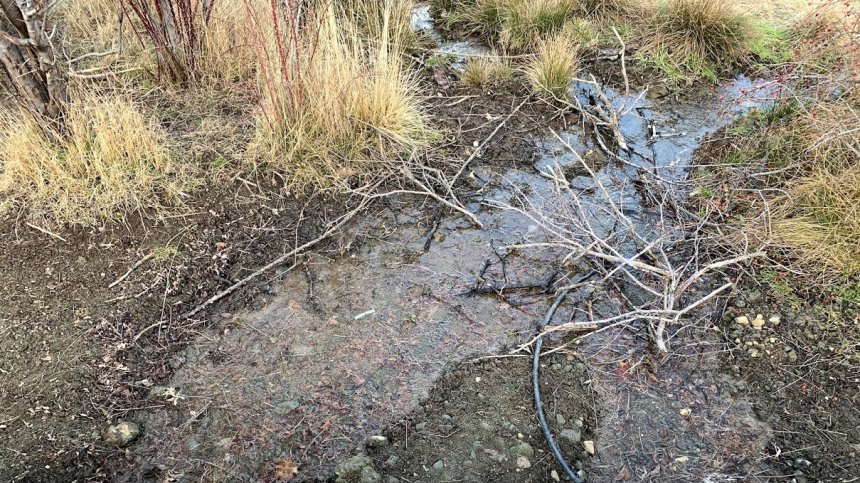 Трънско село е без вода вече три месеца, хората топят сняг