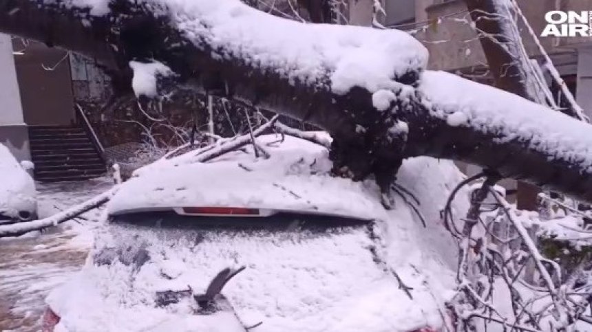 Неприятна изненада - натежали от снега клони потрошиха коли в София