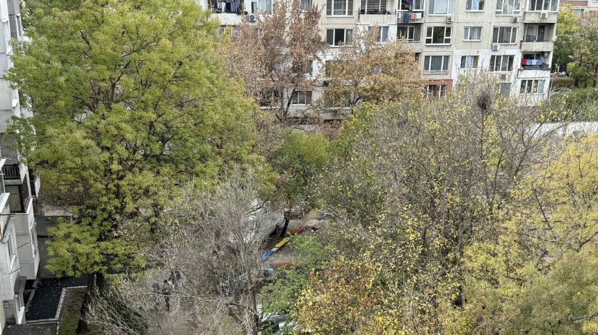 Сигнали за опасни дървета в цяла София