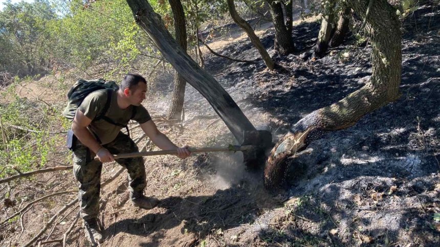 Около 1500 дка планински масив е унищожен от пожара край село Брягово