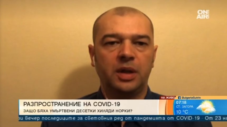 Умъртвяват милиони норки: Ще се насочи ли бизнесът към Източна Европа?