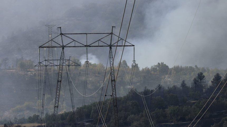 Вековна гора и животни са на прага на изчезване заради пожарите у нас