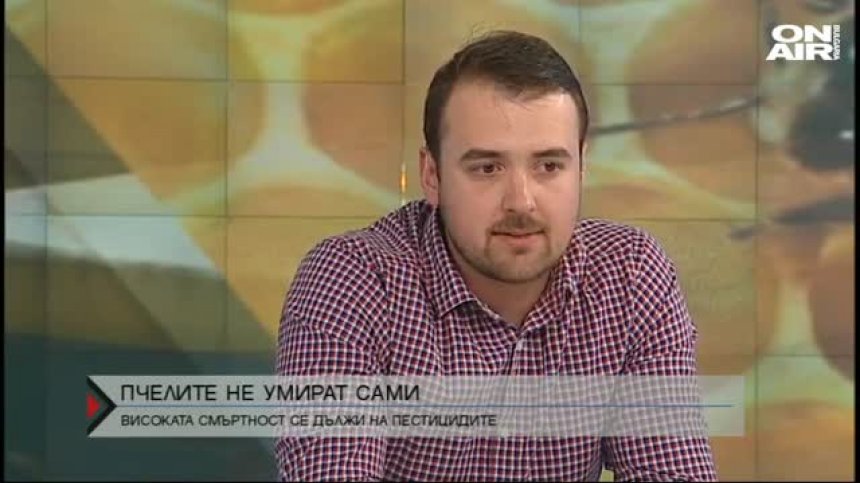Над 400 милиона пчели в България са убити от пестициди