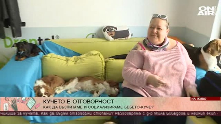 "Околосветско" на гости на първата Дневна забавачница за кучета у нас 