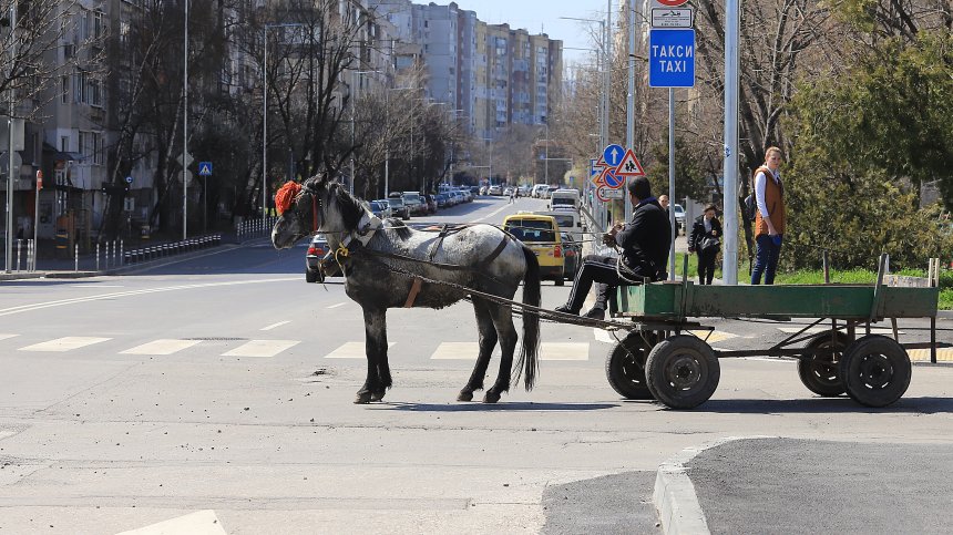 Каруцарите в София готвят протест: Не пречим, имаме си талони, не караме пияни