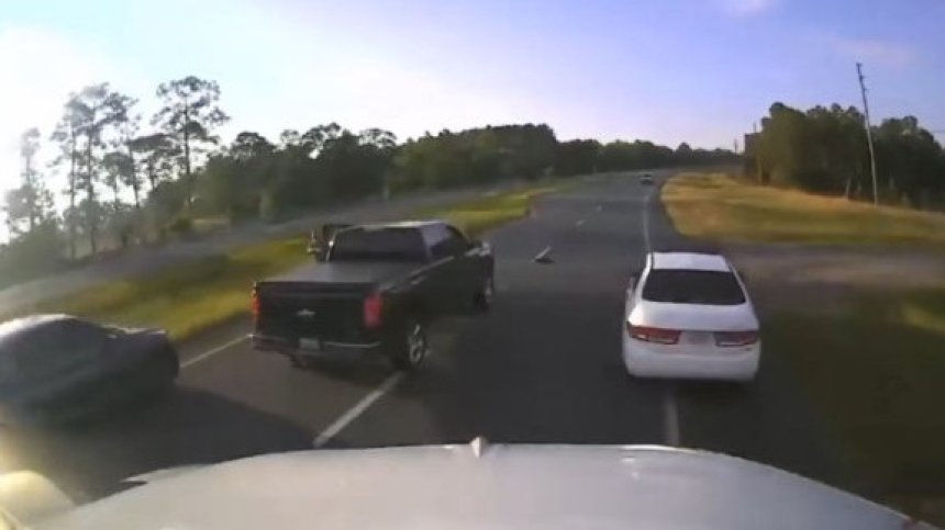 Костенурка предизвика верижна катастрофа (+ВИДЕО)