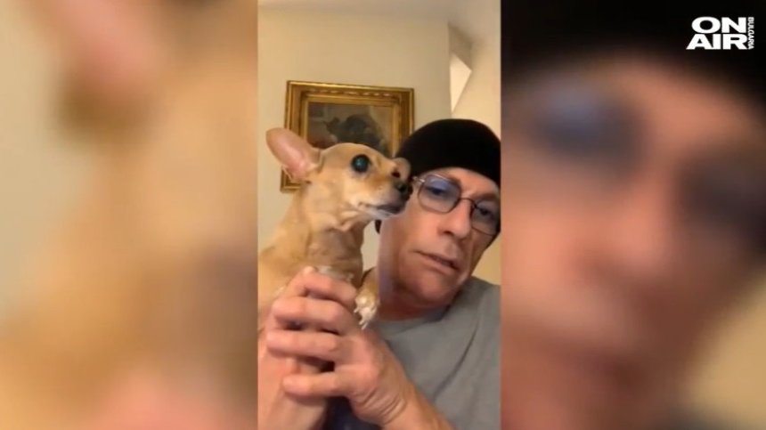 След апел на Жан Клод Ван Дам: България спасява малко чихуахуа от Норвегия