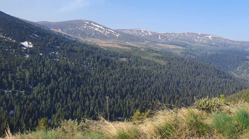 Спасиха паднал турист в района на Кирилова поляна в Рила