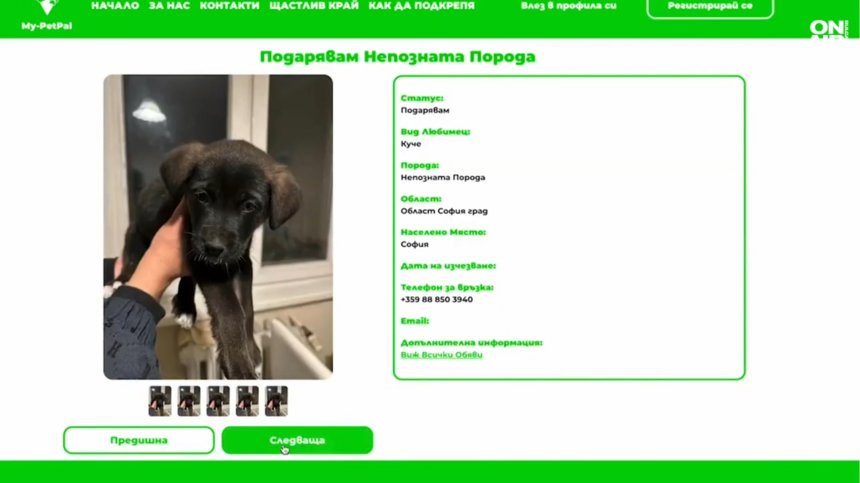 Приложението MyPetPall с бързи резултати: Помогна на четириноги да открият своя дом