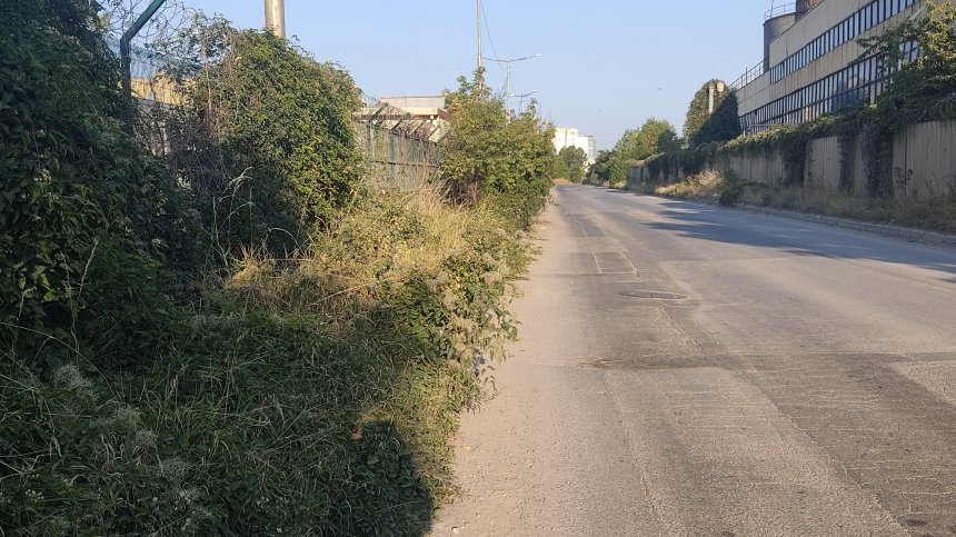 Опасности за пешеходците в столичния "Дружба" 2: Тротоари липсват, превзети са от храсти и треви 