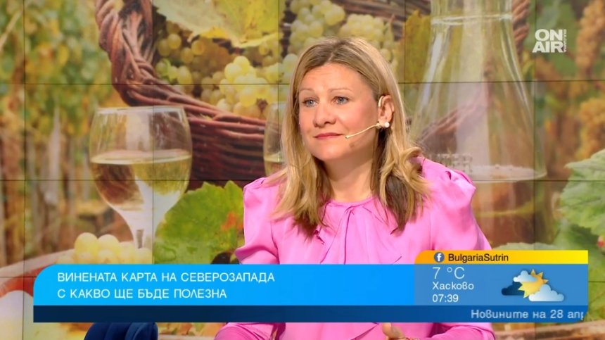 Винена карта представя Дунавския регион: Пиеш хубаво вино и обикаляш Белоградчишките скали