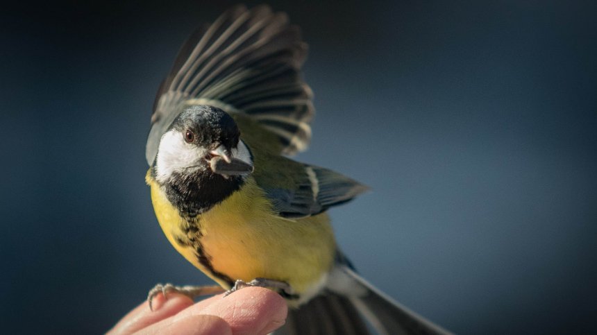 Ще се радваме на топла, но ветровита неделя с валежи