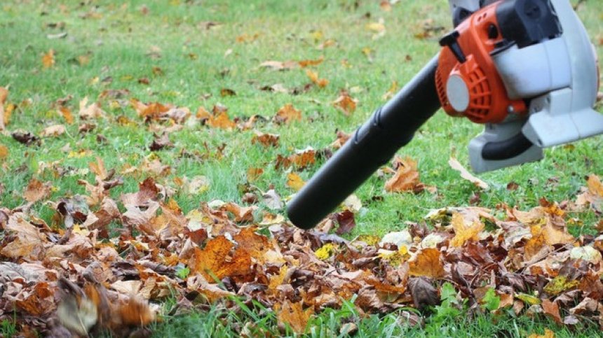 Събиране на листа с професионална техника
