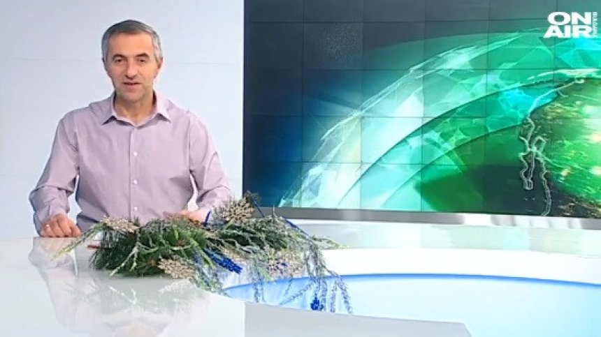 Късна емисия
