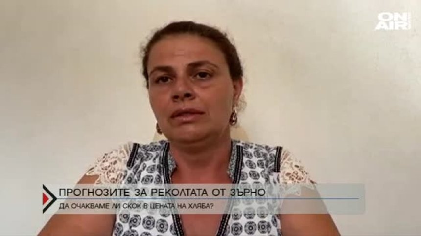 Лоша реколта от зърно и прогноза за фалити на производители