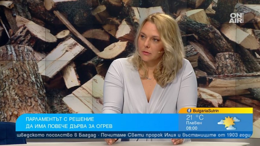 Илина Мутафчиева, ПП-ДБ: Къщи за отдих правят бизнес с дърва, получени на ниски цени