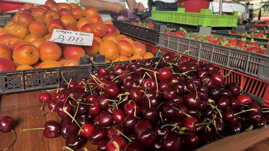 Изкупуват череши на безценица, продават ги златни