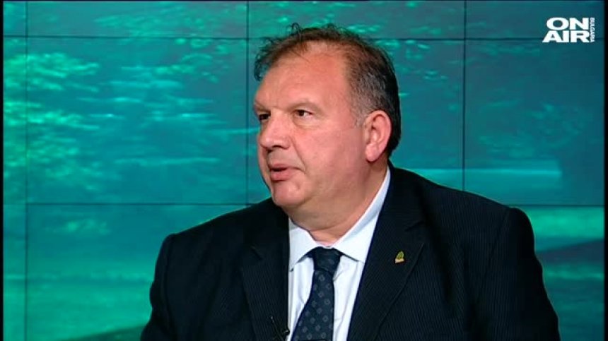 Колко гора е унищожена в последните години