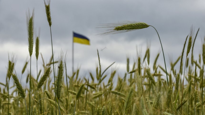 Испания инициира операция по износ на около 8 000 т зърно от Украйна