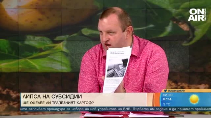 Оставаме без български картофи, ако няма субсидиране - производителите са готови да стачкуват