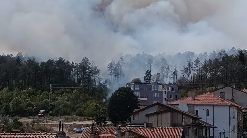 Голям пожар във Варна, лумна борова гора, огънят наближава къщи