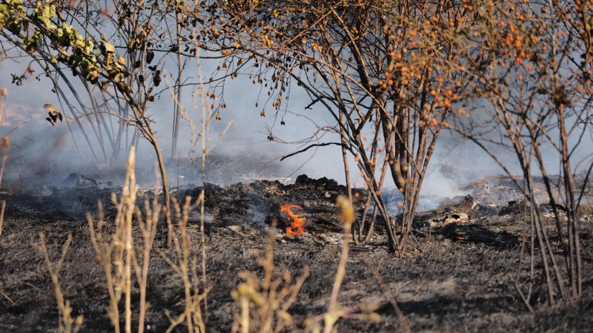 Пожар в Пловдивско стигна до първите къщи на село Белащица