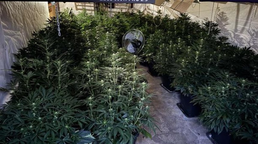 Разкриха две нарколаборатории за ден