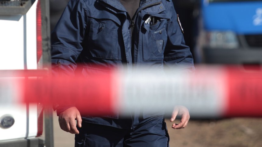 Втори задържан за убийството в Плевенско