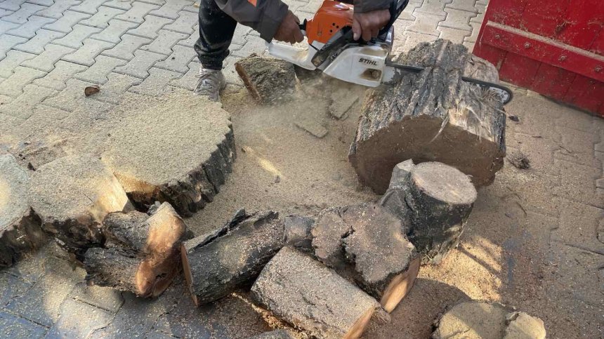 Между 140 и 200 лв. варира кубик дърва в различните райони на столицата