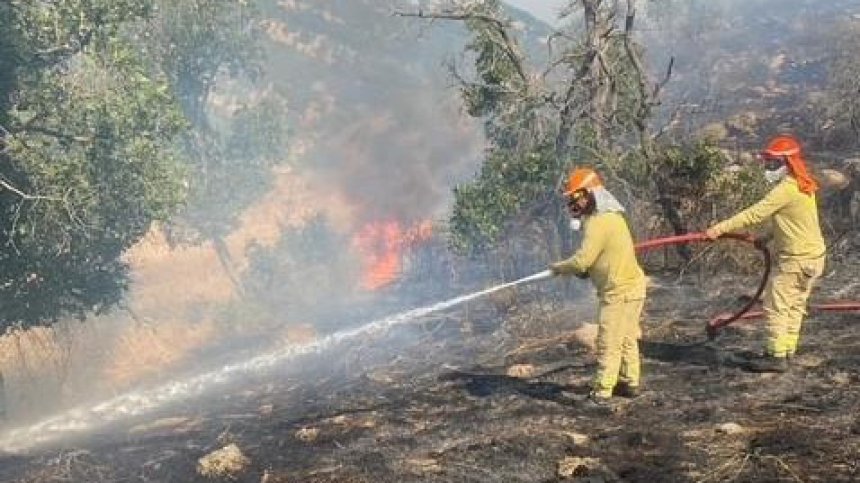 Турция помага на България в овладяването на мащабния пожар край Лесово