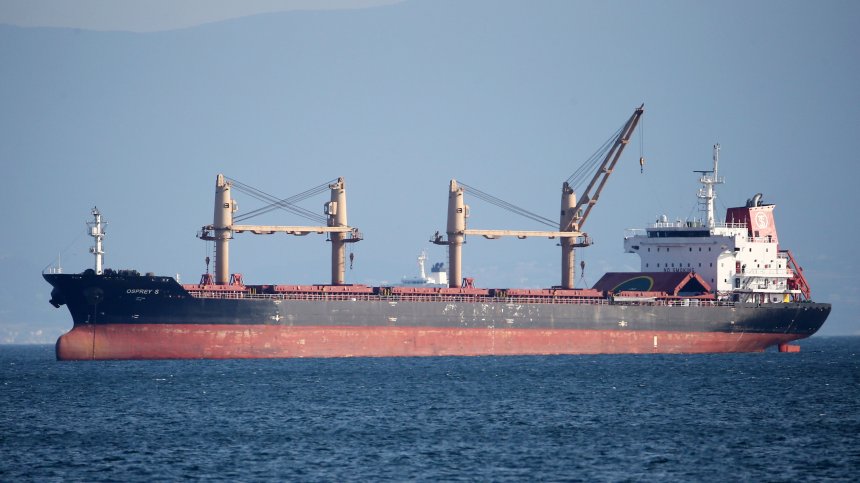 Украйна под напрежение заради зърното - опашка от товарни кораби в Черно море