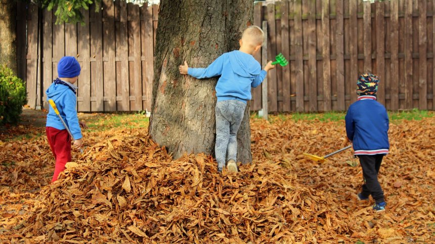 На децата понякога е трудно да се угоди: Ето няколко забавления, за които не трябват пари