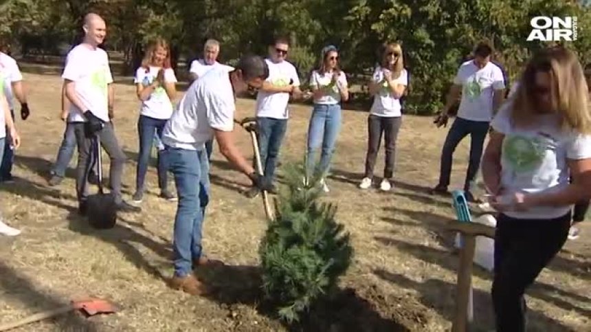 Доброволци садят дръвчета за по-зелена столица