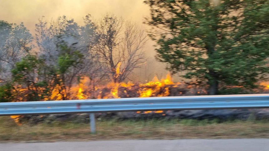 Военноморските сили се включват в гасенето на пожара край Варна