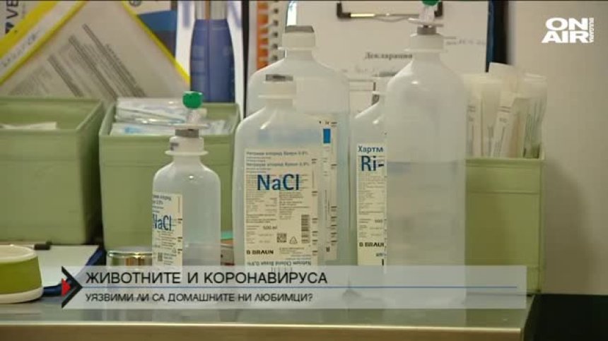 Зъболекарите настояват за предпазни средства