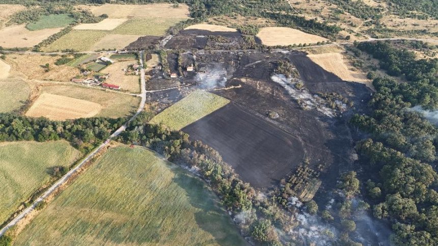 Пожарът край Владимирово погълна постройки и широколистна гора