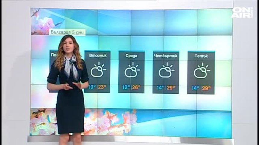 Централна прогноза