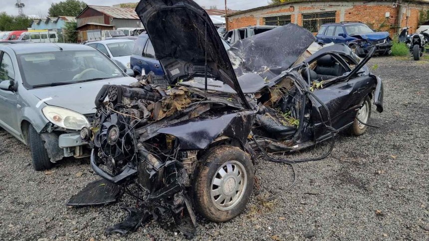 Да си вземем книжката, а после смърт на пътя – защо и докога? (ВИДЕО)