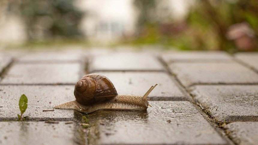 Изпращаме петък с облаци и гръмотевици, планинарите да внимават