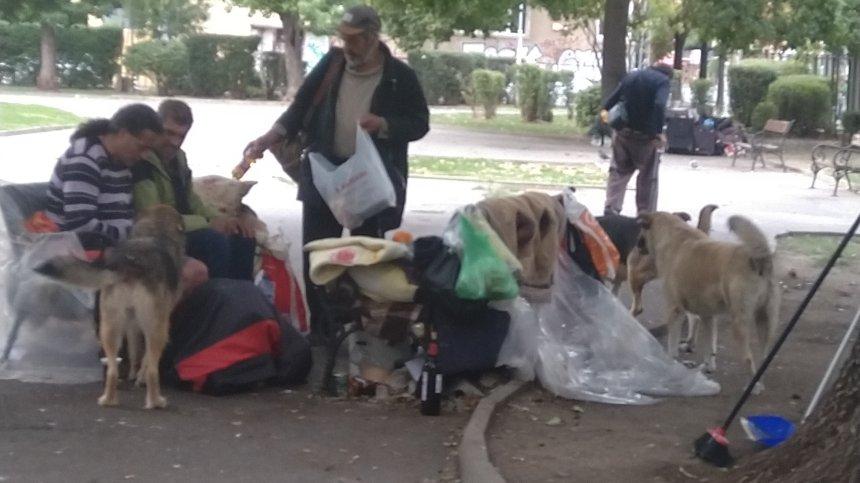 Катун в столична градинка - спи се, пие се, подмиват се пред погледа на деца